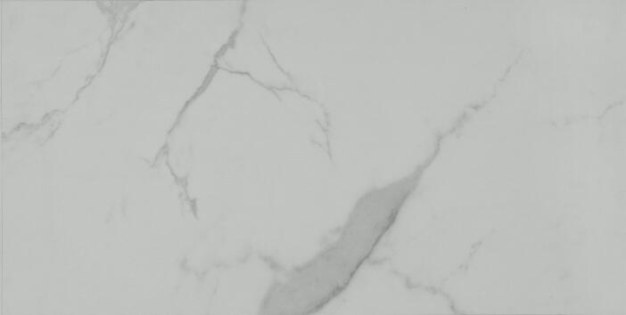 CH1010# / Marble and Slate Series / Lifeproof SPC Flooring