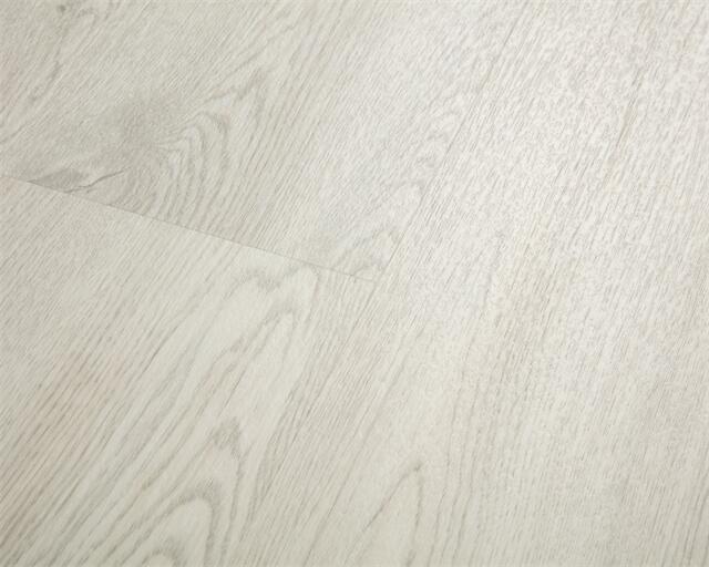 S-252# / Classic Wood Series / Lifeproof LVT Flooring